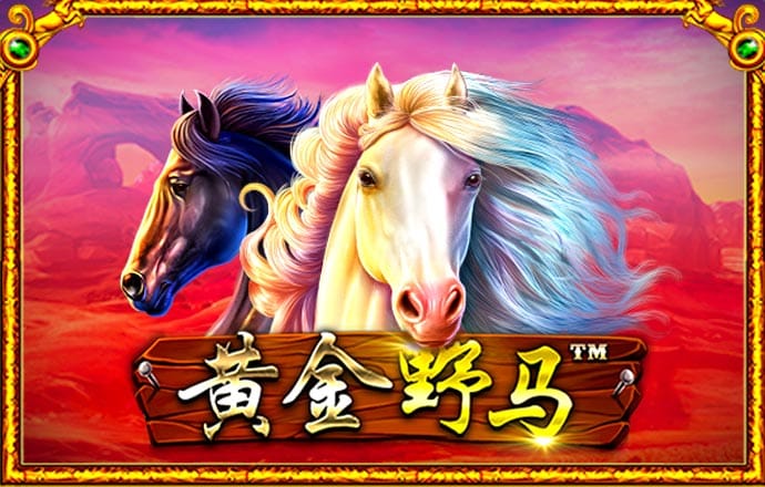 十大信誉网赌大全官方版截图4